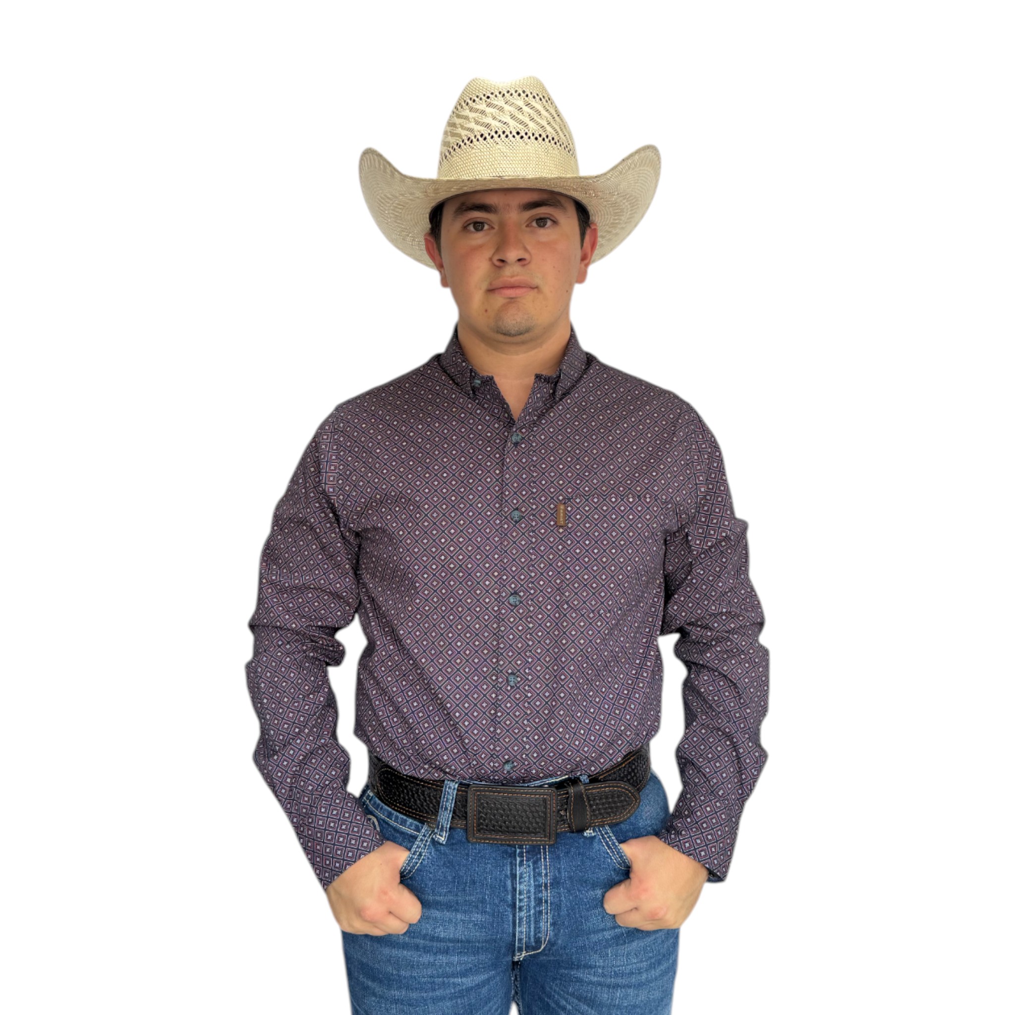 CAMISA ARIAT MATTIECORTE MODERNO