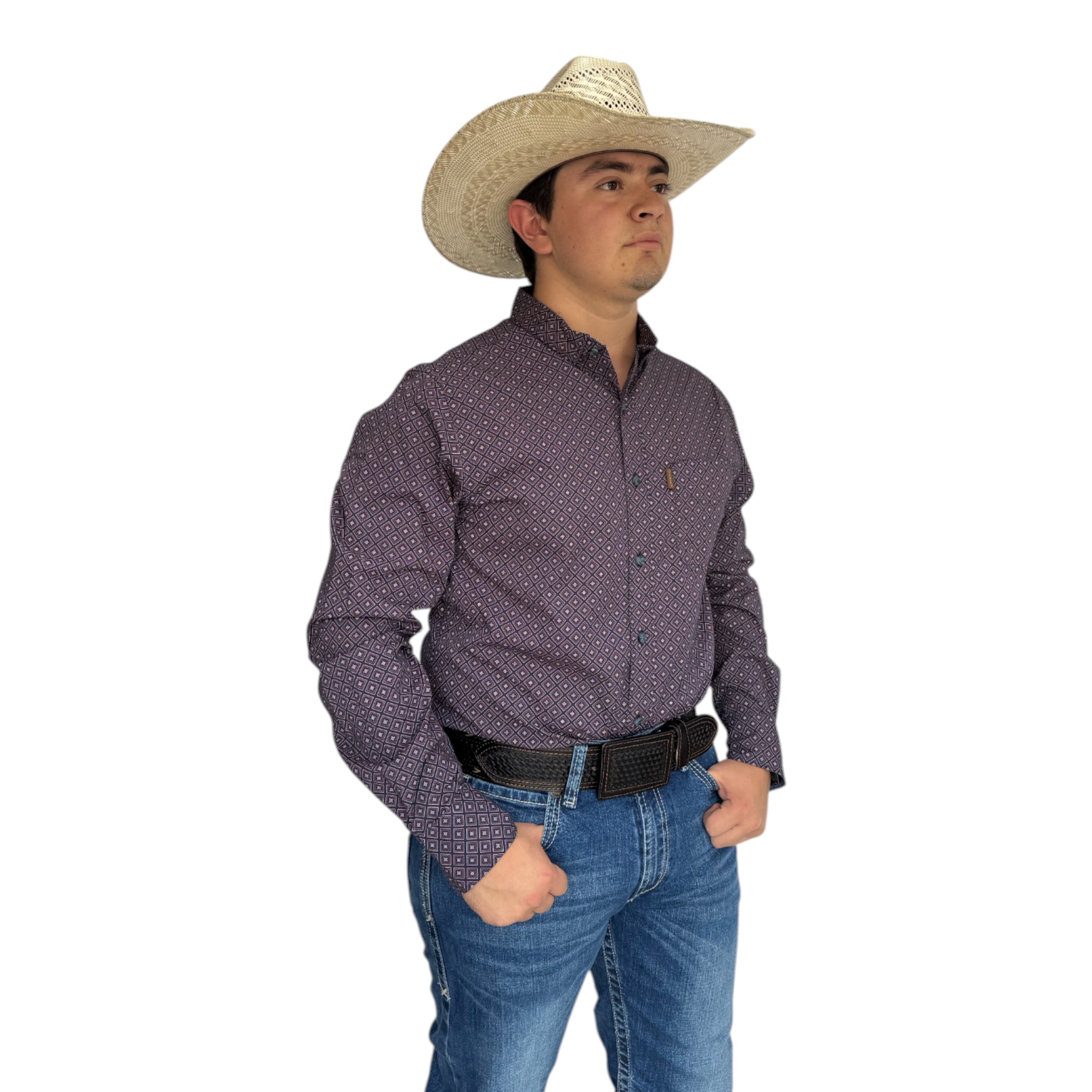 CAMISA ARIAT MATTIECORTE MODERNO