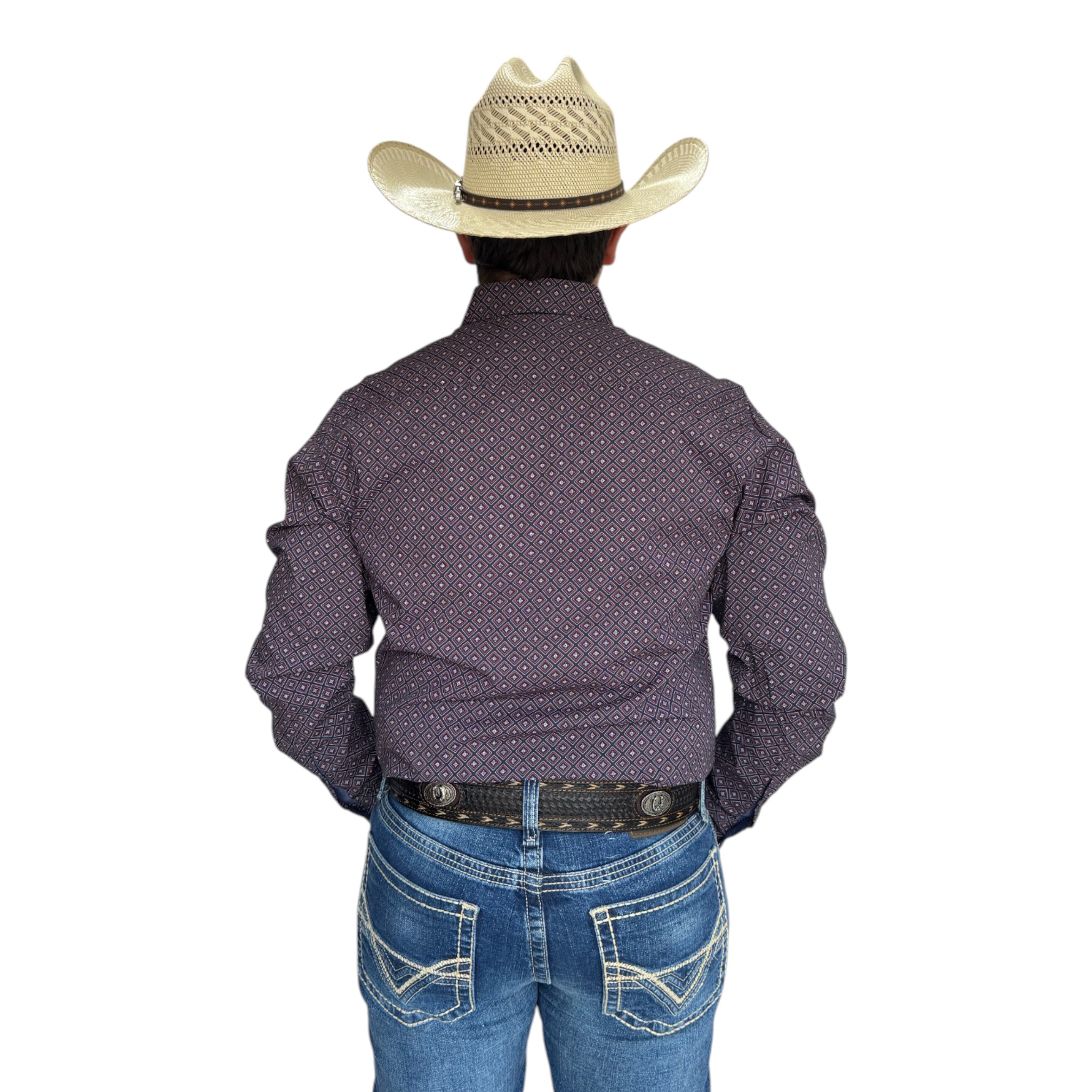 CAMISA ARIAT MATTIECORTE MODERNO