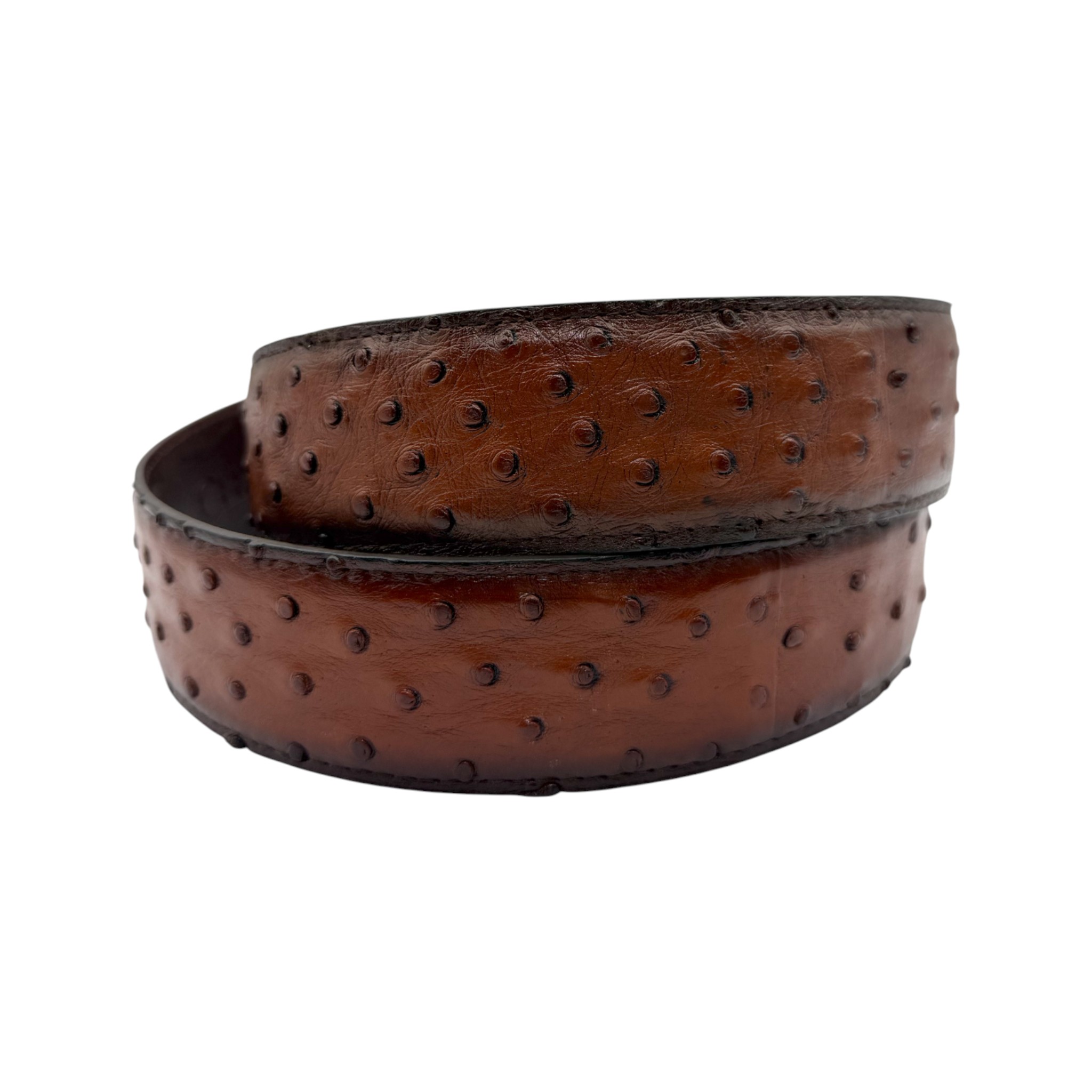 IMG_4282-Photoroom CINTO CUADRA AVESTRUZ MORONI CASTAÑO