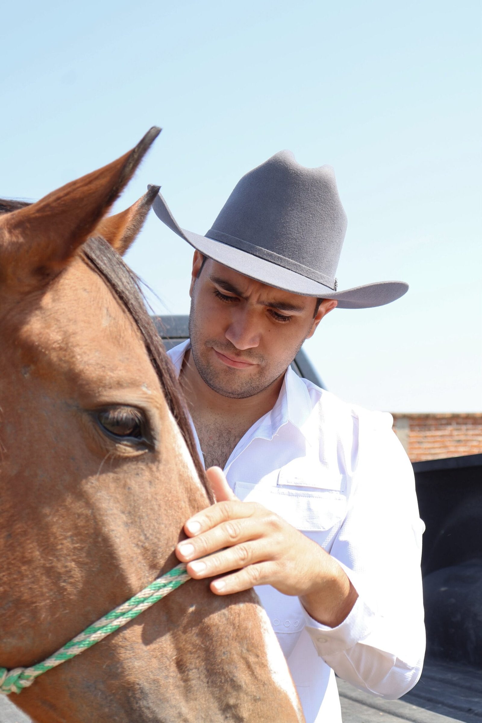 Texanas